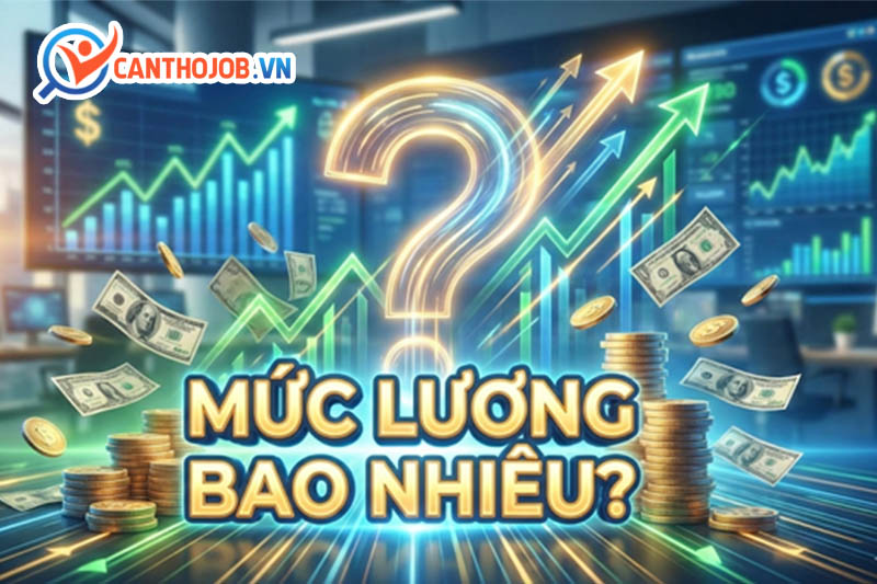 Mức lương việc làm ngành luật Cần Thơ