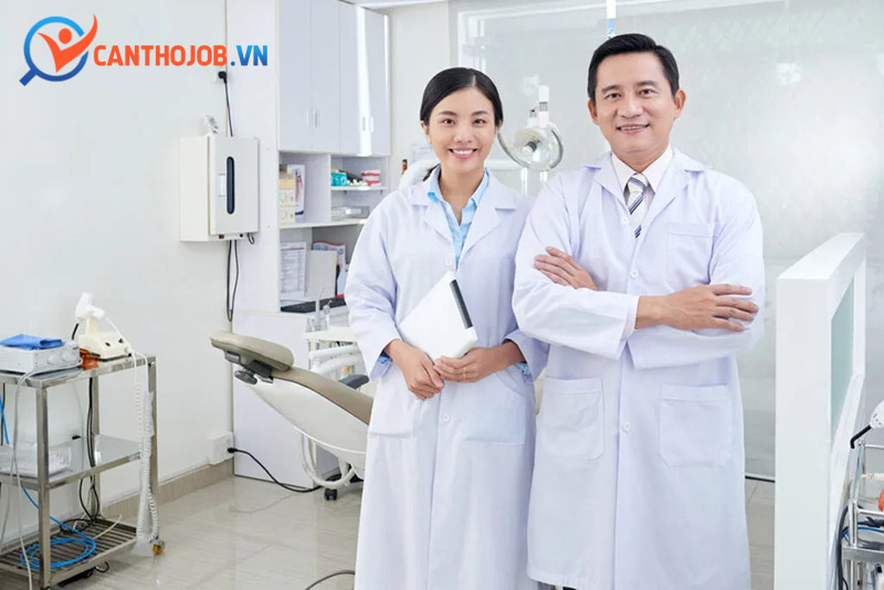 Các vị trí việc làm