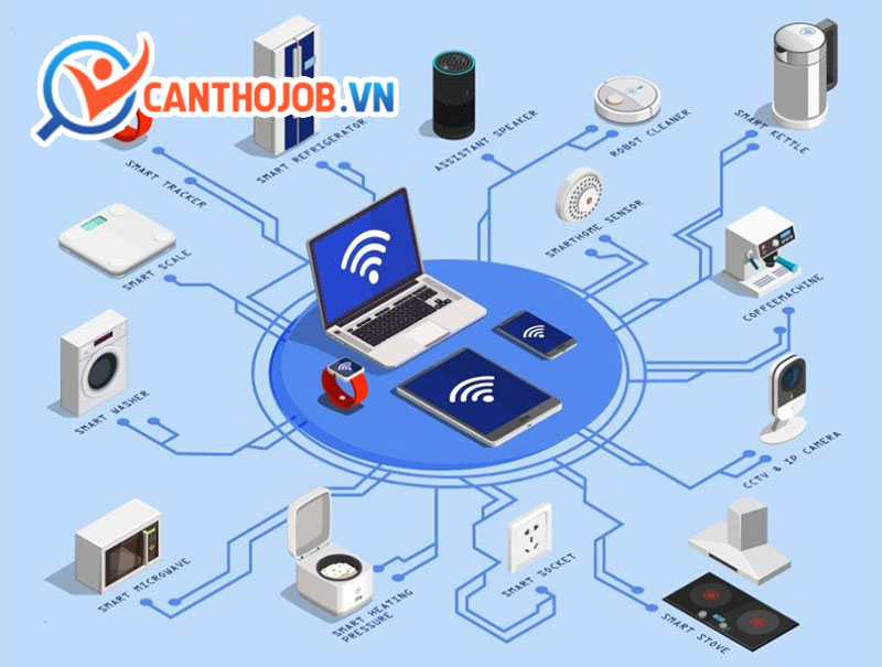 Nhân viên phát triển và bảo trì mạng